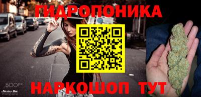 прущая мука Кимры